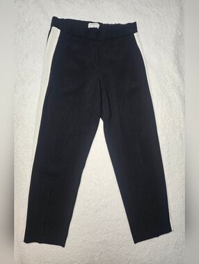 Babaton Aritzia Cropped Black  Dress Pants With  White stripe on the Sides